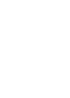 Splice